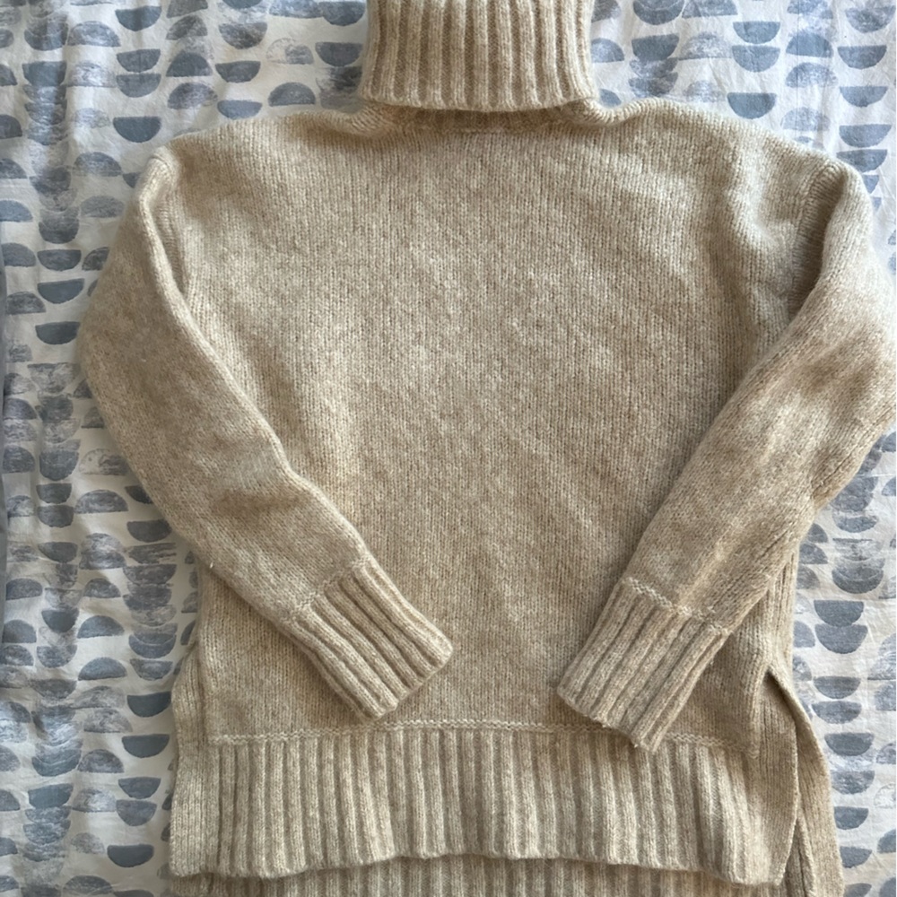 Everlane Cloud Turtleneck